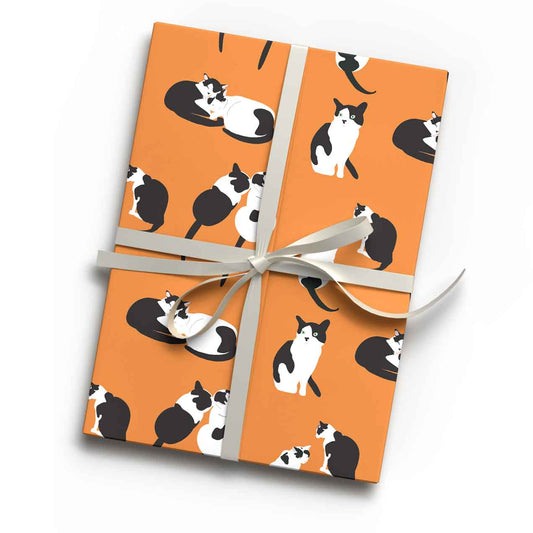 bright orange luxury gift wrap with black and white cat animal print