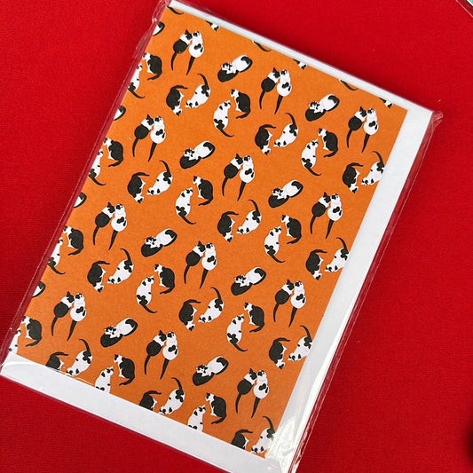 Cats A6 Cards and Envelope - pack of 5