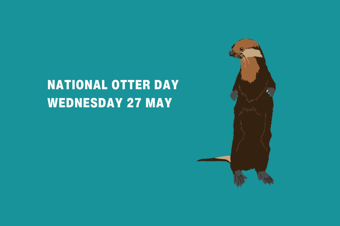 National Otter Day Wednesday 27 May 2026