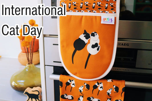 Celebrating International Cat Day