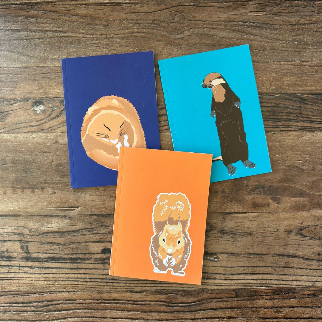 a selection of the notebooks available from UmmPixies British Wildlife collection