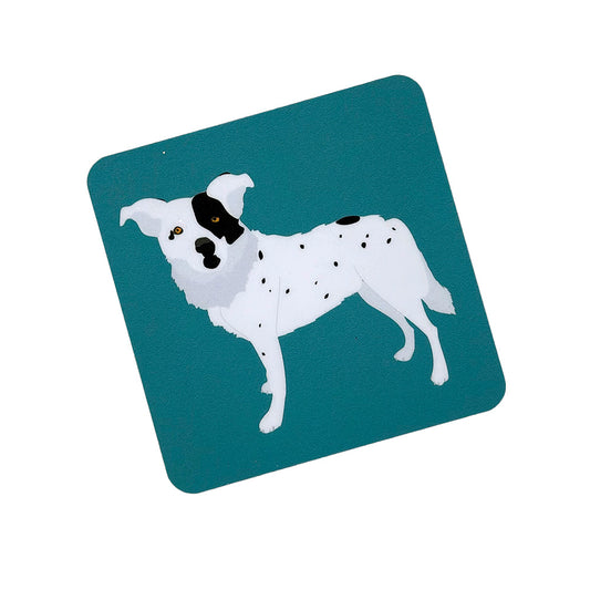 Coasters: Set of 4 Dog Coasters