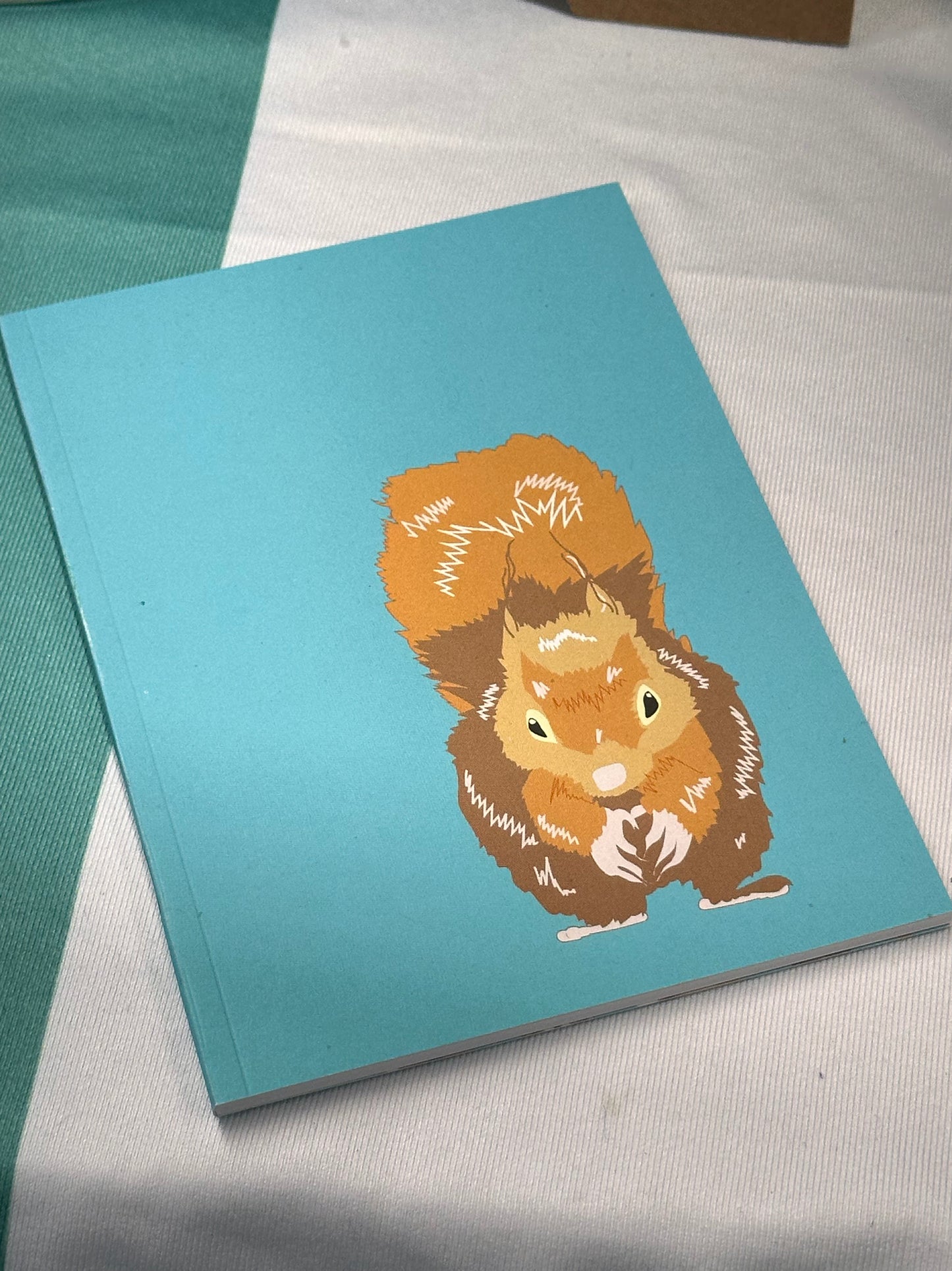 Red Squirrel A6 notebook (teal)