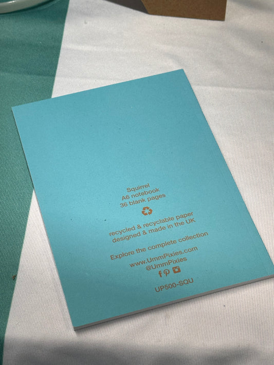 Red Squirrel A6 notebook (teal)