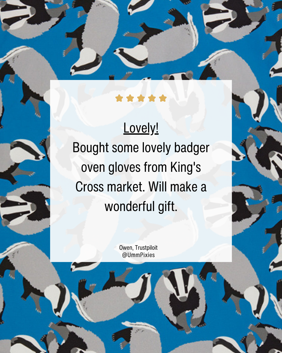 Badger oven gloves close up with 5 star customer review text.