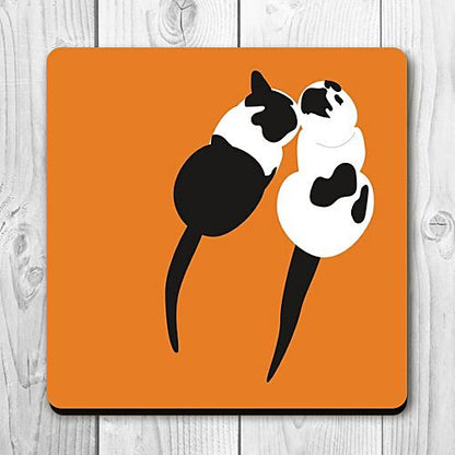Cat Coasters