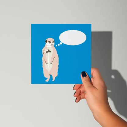 Kitchen Set: Meerkats