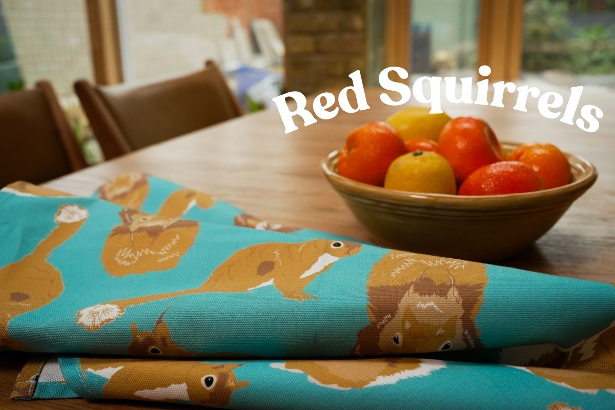 All the Squirrels: Boxed Gift Set