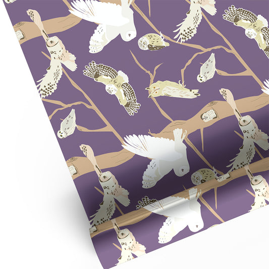 British Owls Wrapping Paper