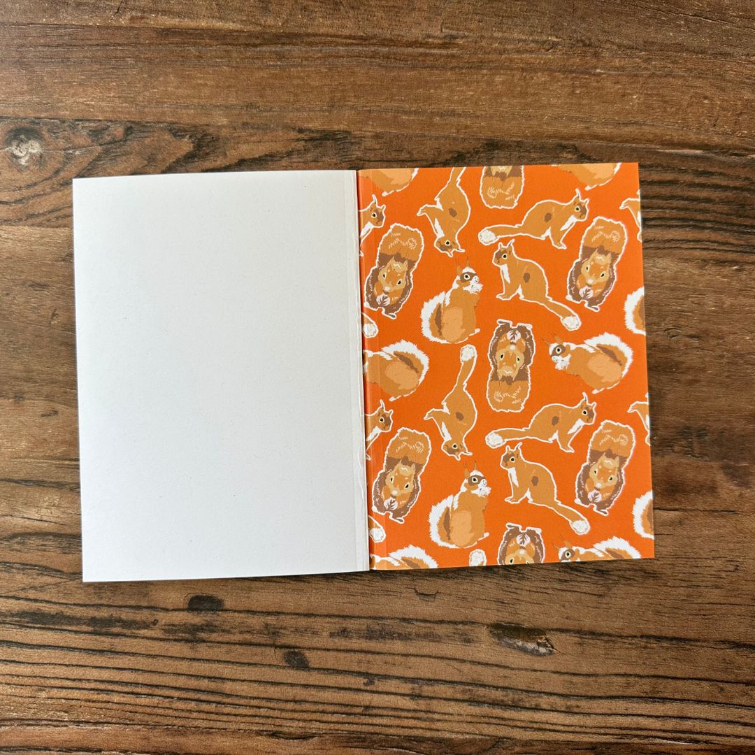 inside back cover of orange Red Squirrel design pocket notebook 