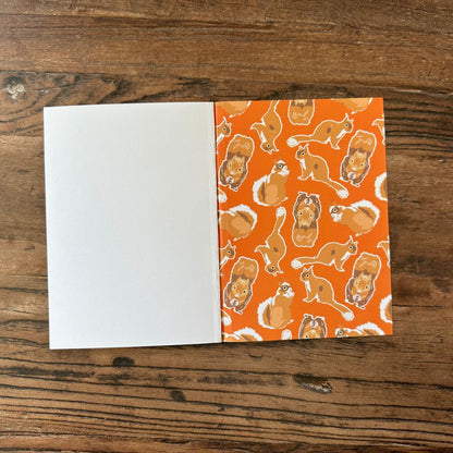 inside back cover of orange Red Squirrel design pocket notebook 