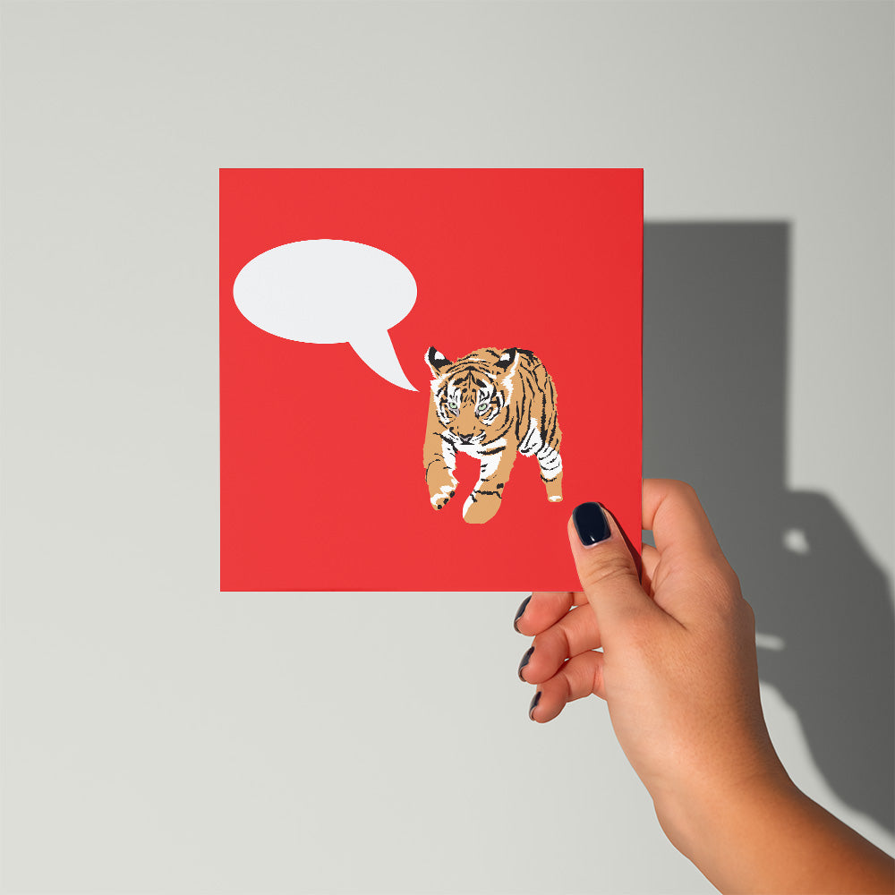 All the Tigers: Boxed Gift Set