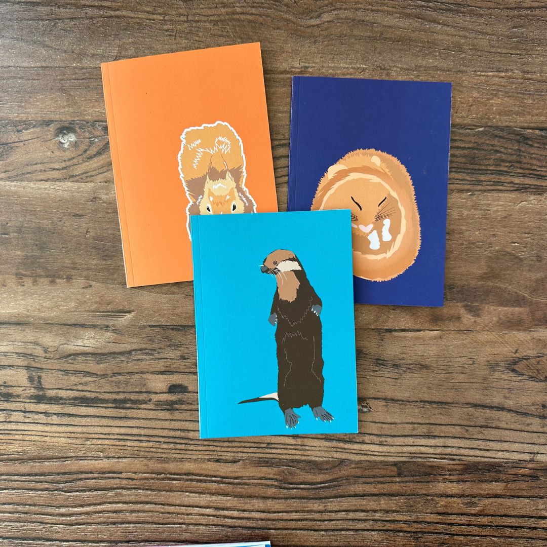 Three small books with animal illustrations on a wooden surface