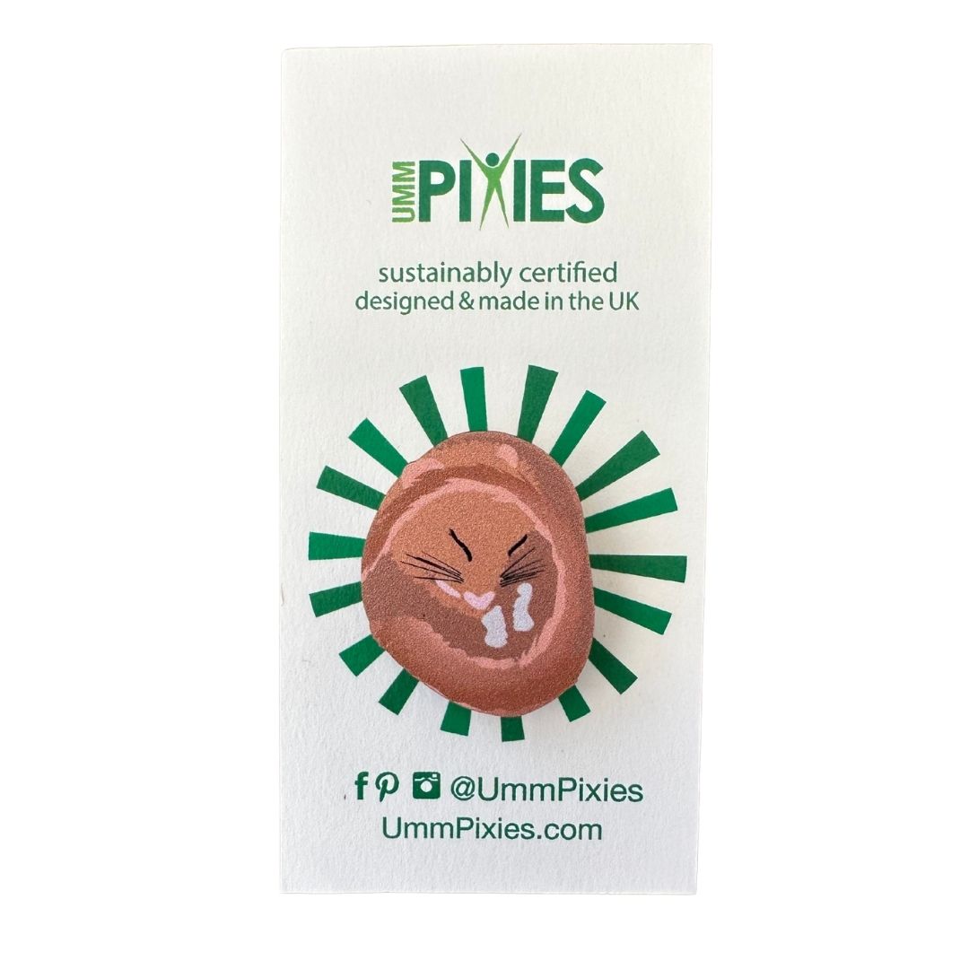 Sleeping Hazel Dormouse wooden pin badge on display card