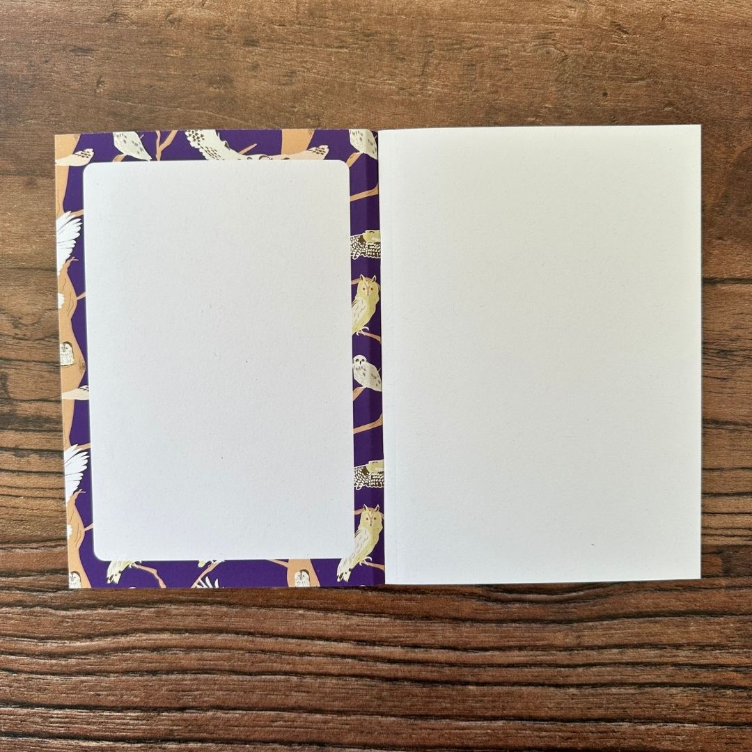 detail of the Inside front cover of British owls pocket notebook