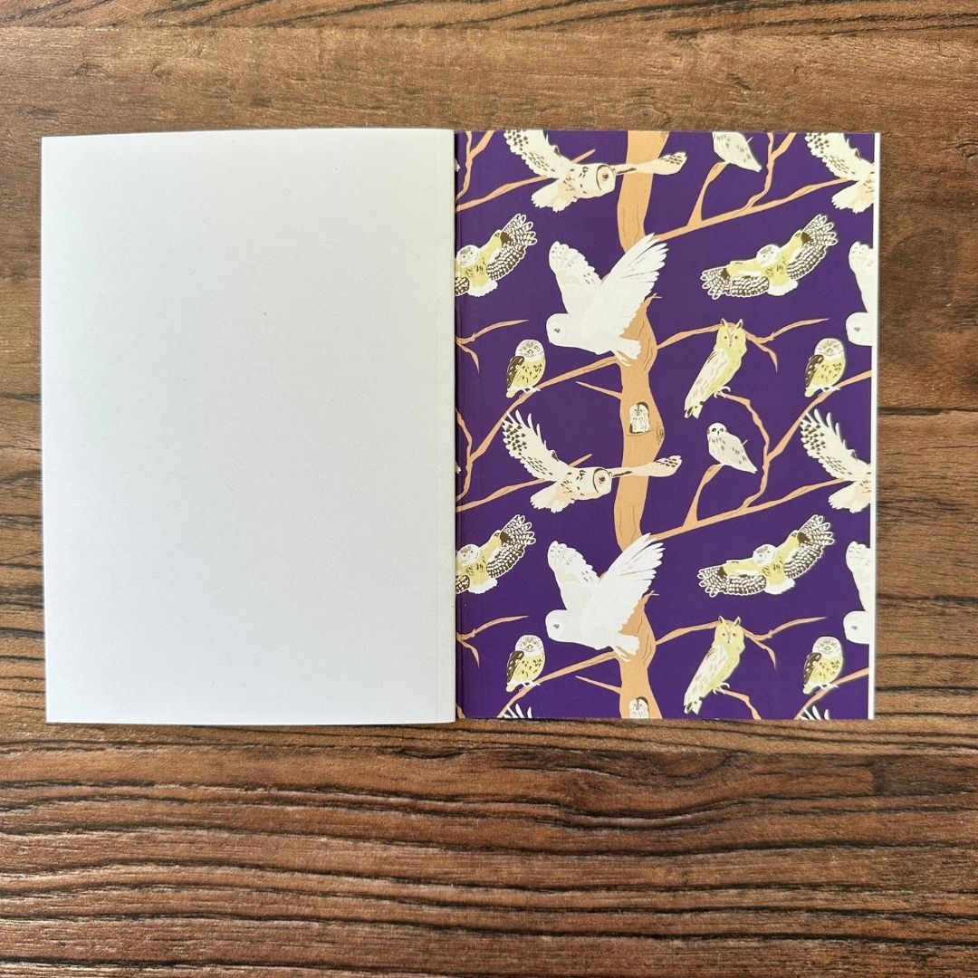 detail of the Inside back cover of British owls pocket notebook