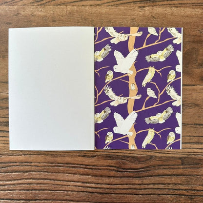 detail of the Inside back cover of British owls pocket notebook