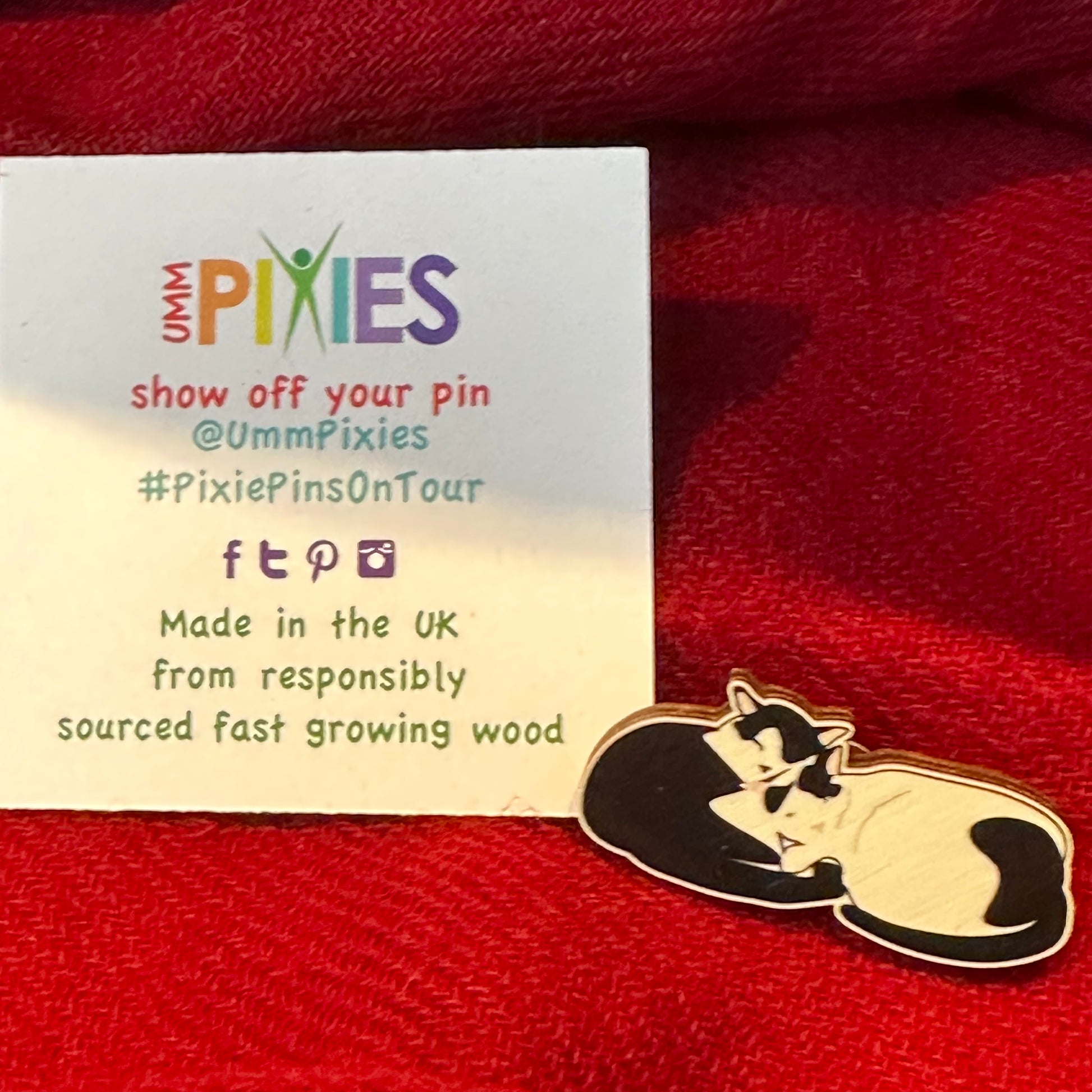 UmmPixies Curled Up Cats Wooden Pin Badge shown next to reverse of display card